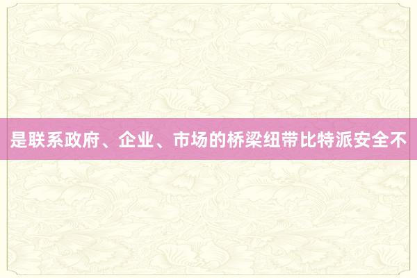 是联系政府、企业、市场的桥梁纽带比特派安全不