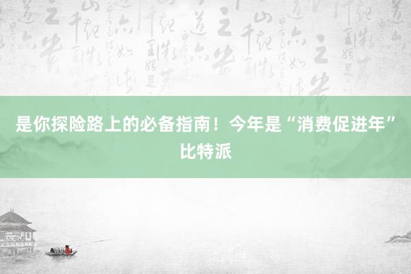 是你探险路上的必备指南！今年是“消费促进年”比特派