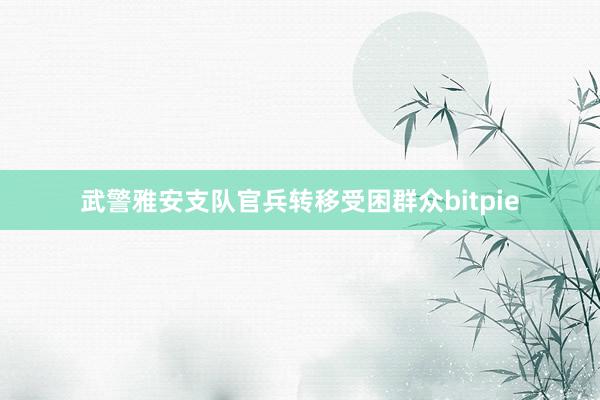 武警雅安支队官兵转移受困群众bitpie