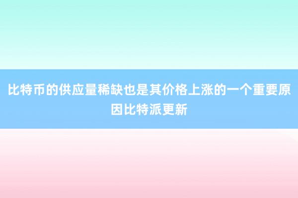 比特币的供应量稀缺也是其价格上涨的一个重要原因比特派更新