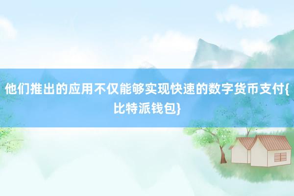 他们推出的应用不仅能够实现快速的数字货币支付{比特派钱包}