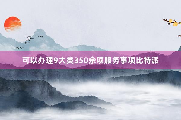 可以办理9大类350余项服务事项比特派