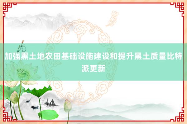 加强黑土地农田基础设施建设和提升黑土质量比特派更新