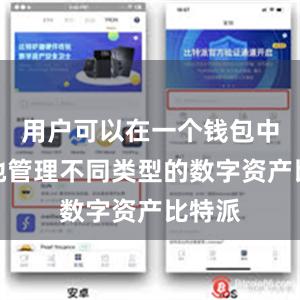 用户可以在一个钱包中方便地管理不同类型的数字资产比特派