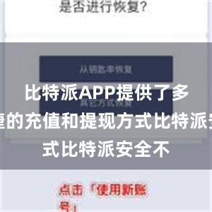 比特派APP提供了多种便捷的充值和提现方式比特派安全不