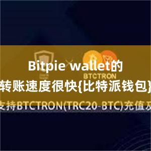 Bitpie wallet的转账速度很快{比特派钱包}