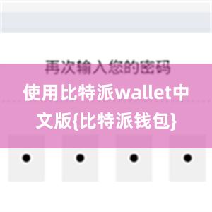 使用比特派wallet中文版{比特派钱包}